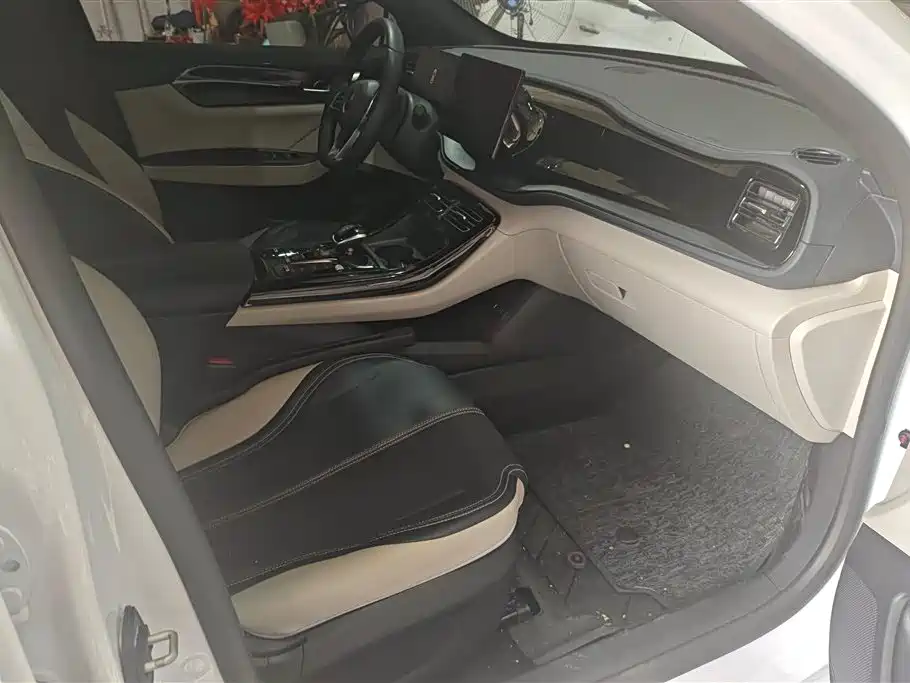 BYD Qin PLUS 2023 Champion Edition DM-i 55KM Leading фото 8