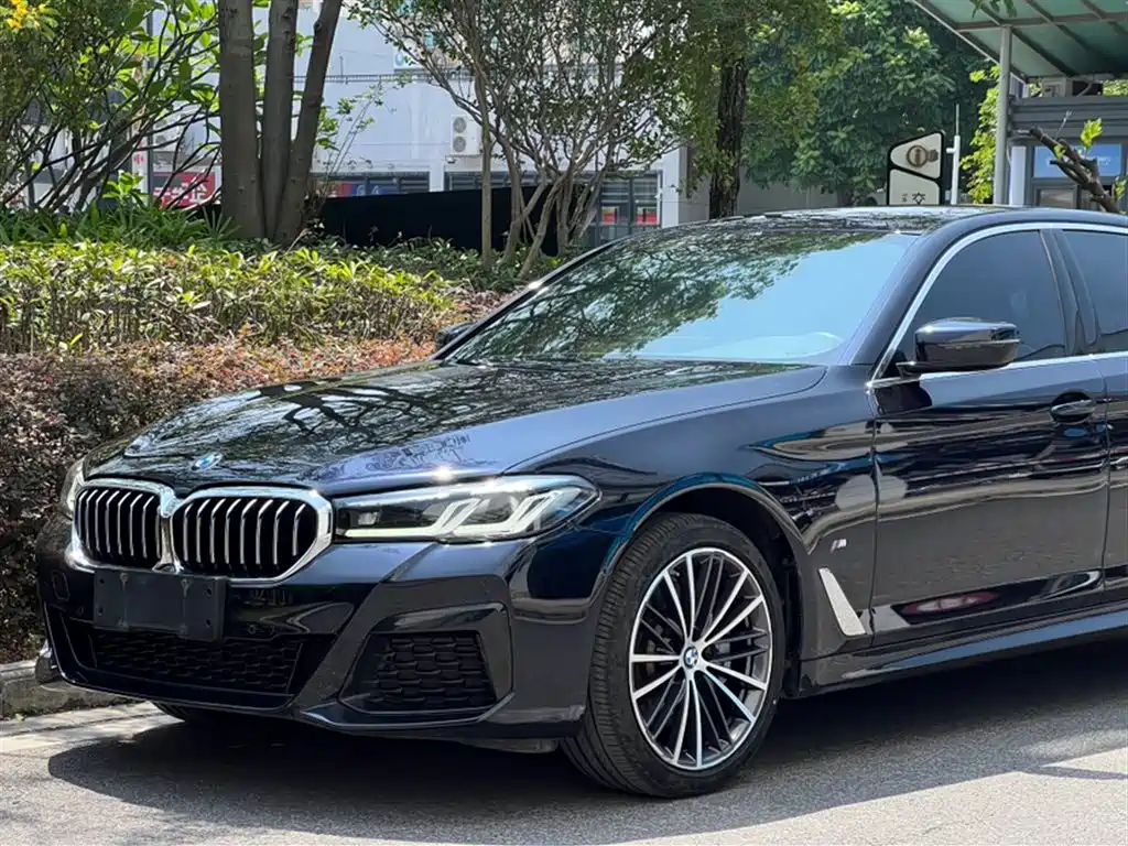 BMW 5 Series 2022 Facelift 530Li xDrive M Sport Package фото 10
