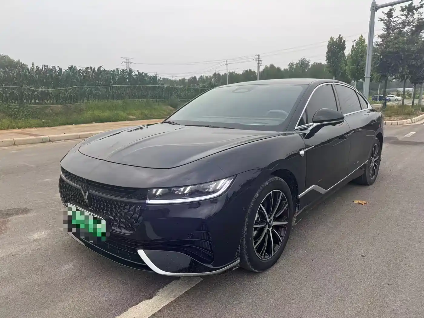 Voyah Auto VOYAH Zhuiguang 2024 PHEV AWD Ultra Long Range Flagship