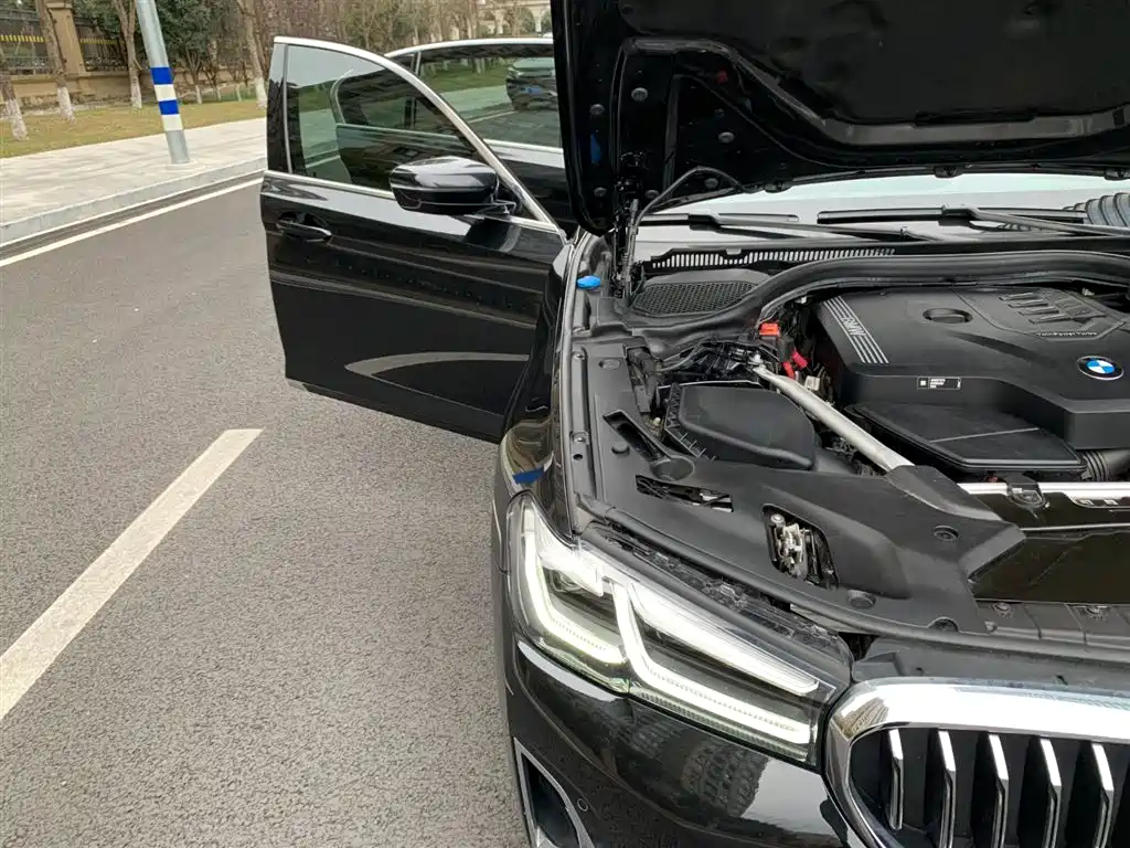 BMW 5 Series 2022 Model Second Facelift 530Li Leading Luxury Package фото 19