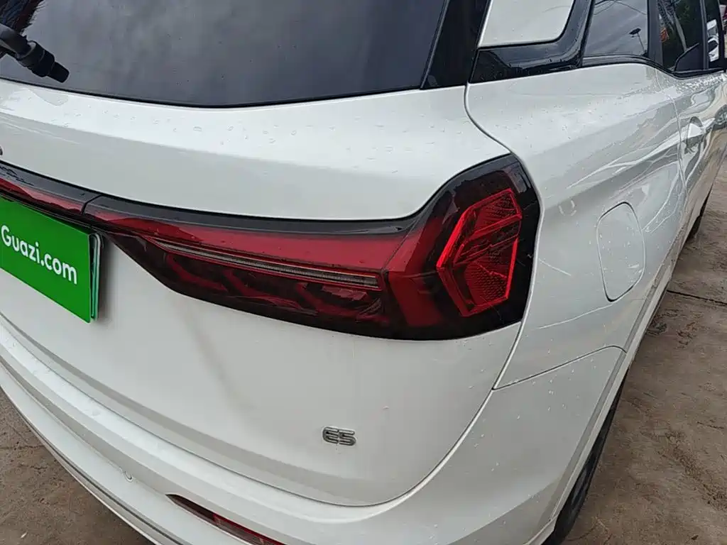 Landian E5 2024 2024 Glory Edition 100KM Premium Type 7-Seater