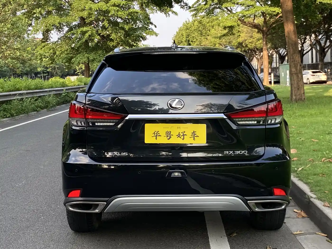 Фото 3 - Lexus RX