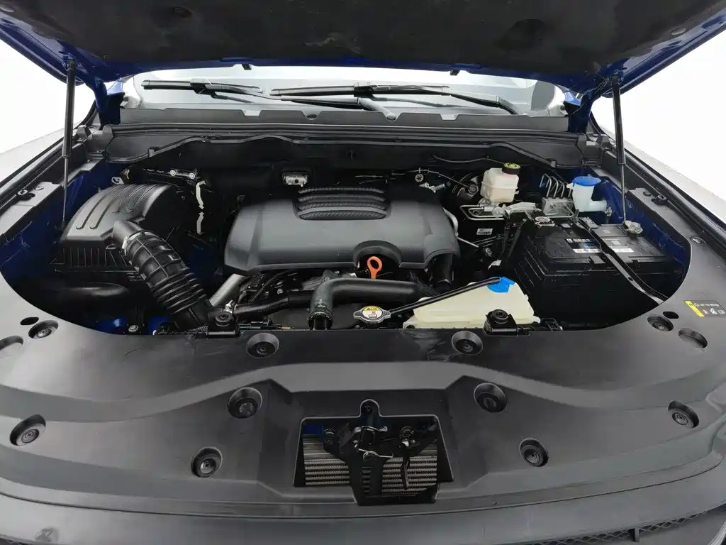 Great Wall Pao 2019 2019 2.0T Automatic Gasoline 2WD Comfort GW4C20B