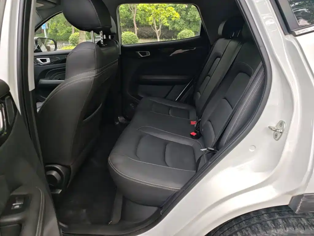 Cowin Xuanjie 2021 2020 Facelift 1.5L Manual Chao