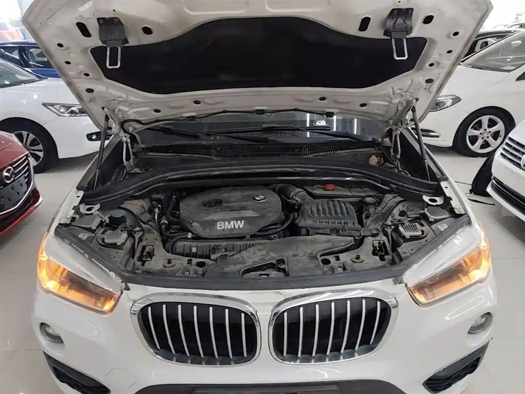 BMW X1 2018 sDrive20Li Leading Model фото 20