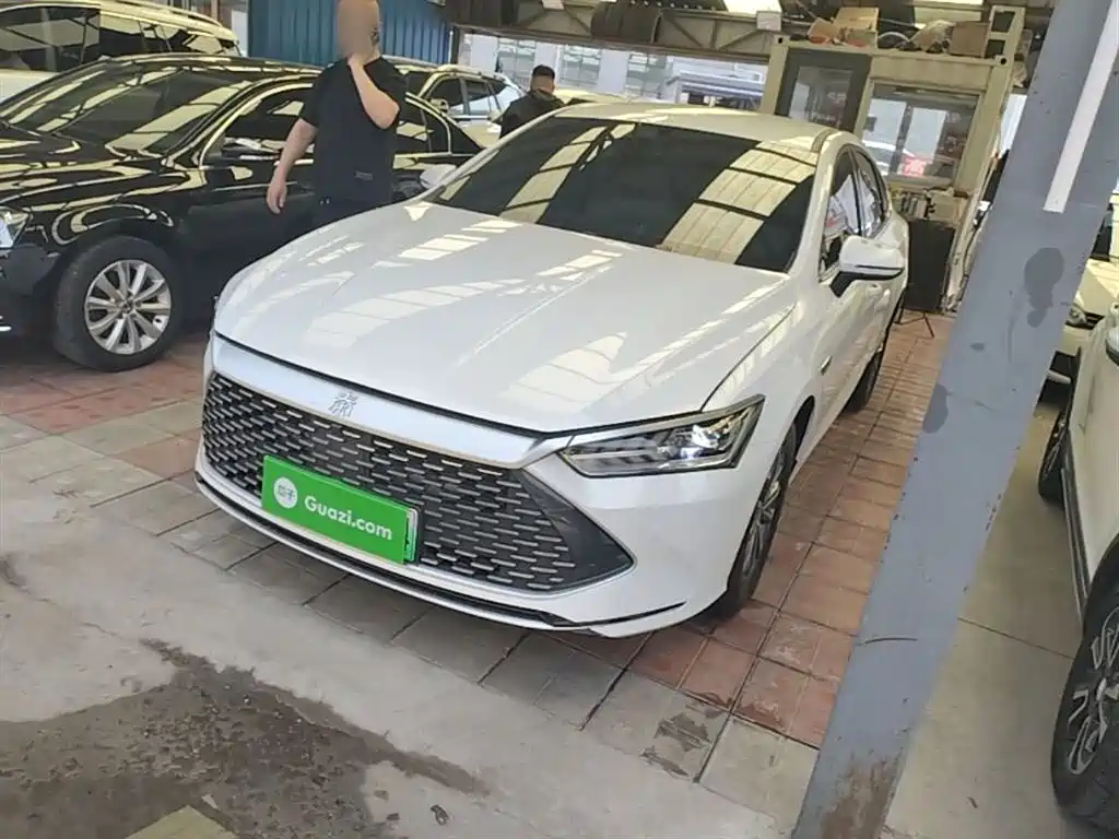 BYD Qin PLUS 2024 Glory Edition DM-i 55KM Leading