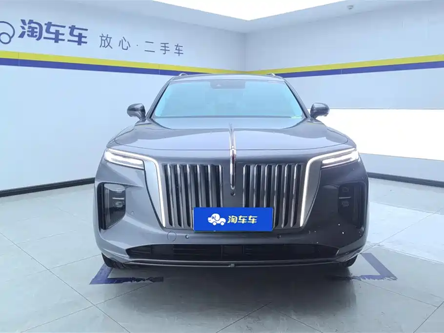 Hongqi E-HS9 2021 460km Flagship Comfort 6-seater фото 2