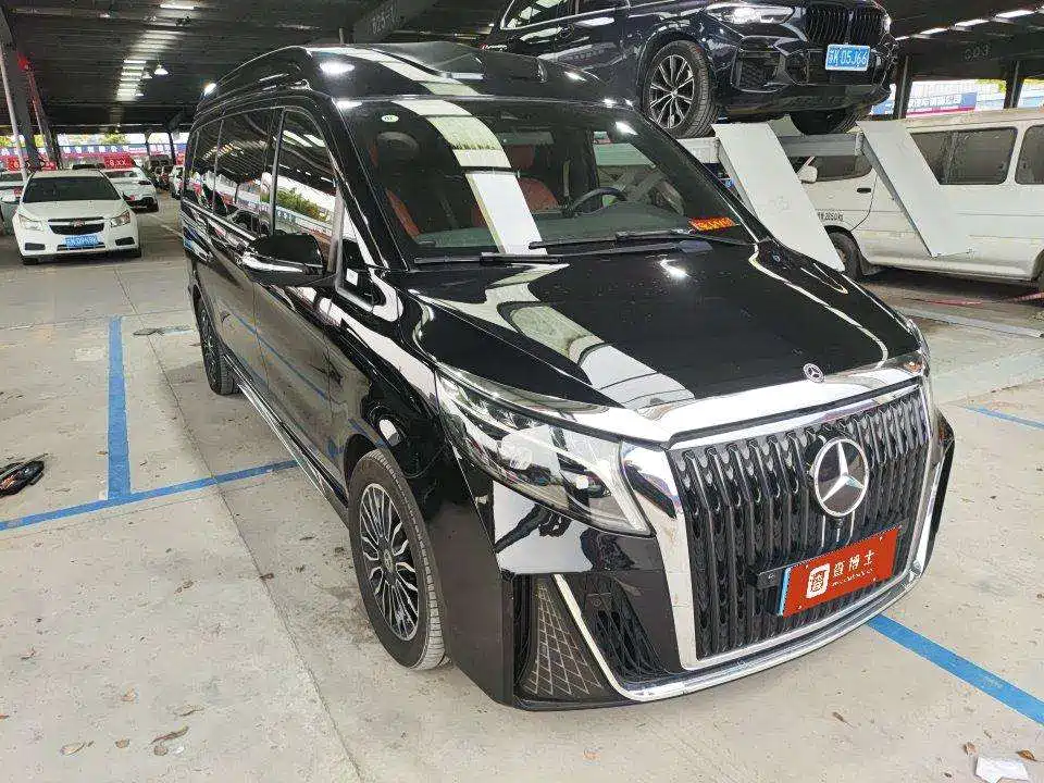 RHINE MOTORS RHINE TRAVELER