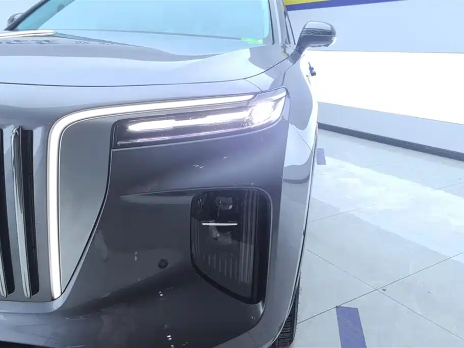 Hongqi E-HS9 2021 460km Flagship Comfort 6-seater фото 5