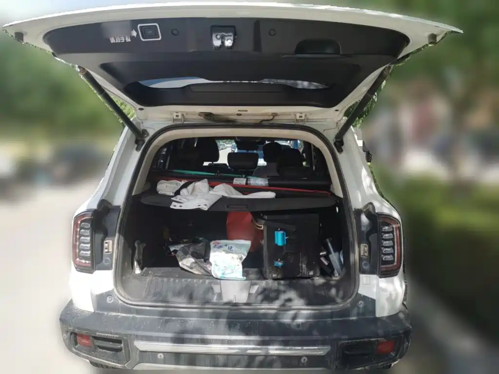 Haval Dargo 2021 2021 2.0T DCT 4WD Chinese Rural Dog Edition