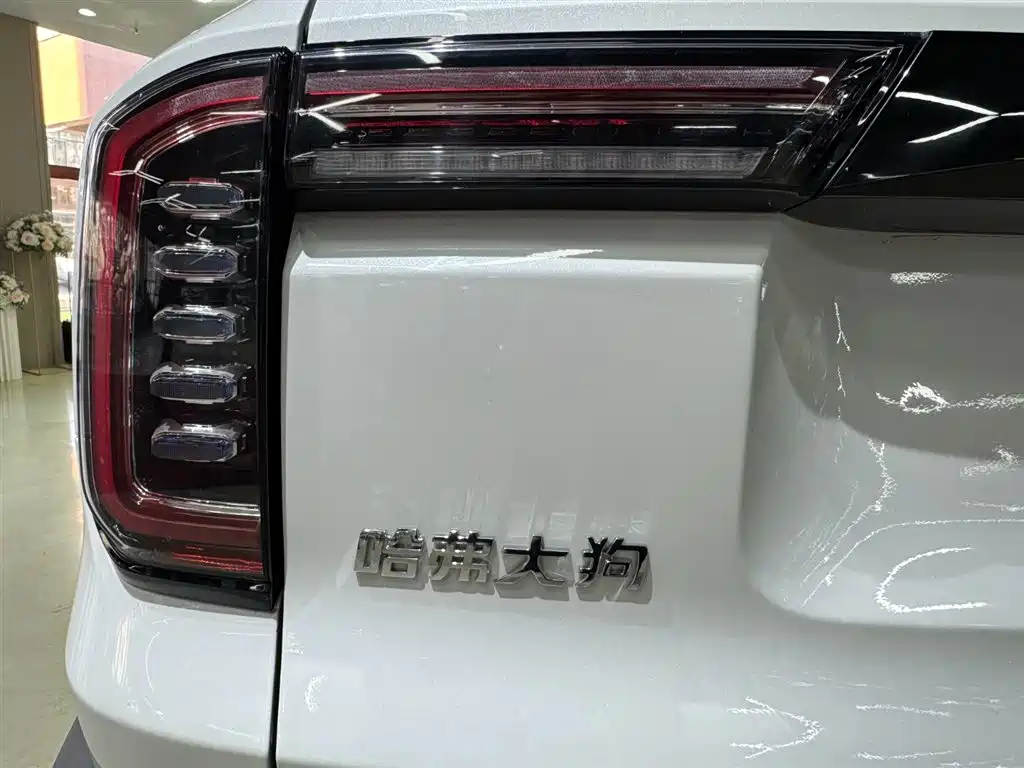 Haval Big Dog 2021 1.5T DCT 2WD Labrador Edition фото 8