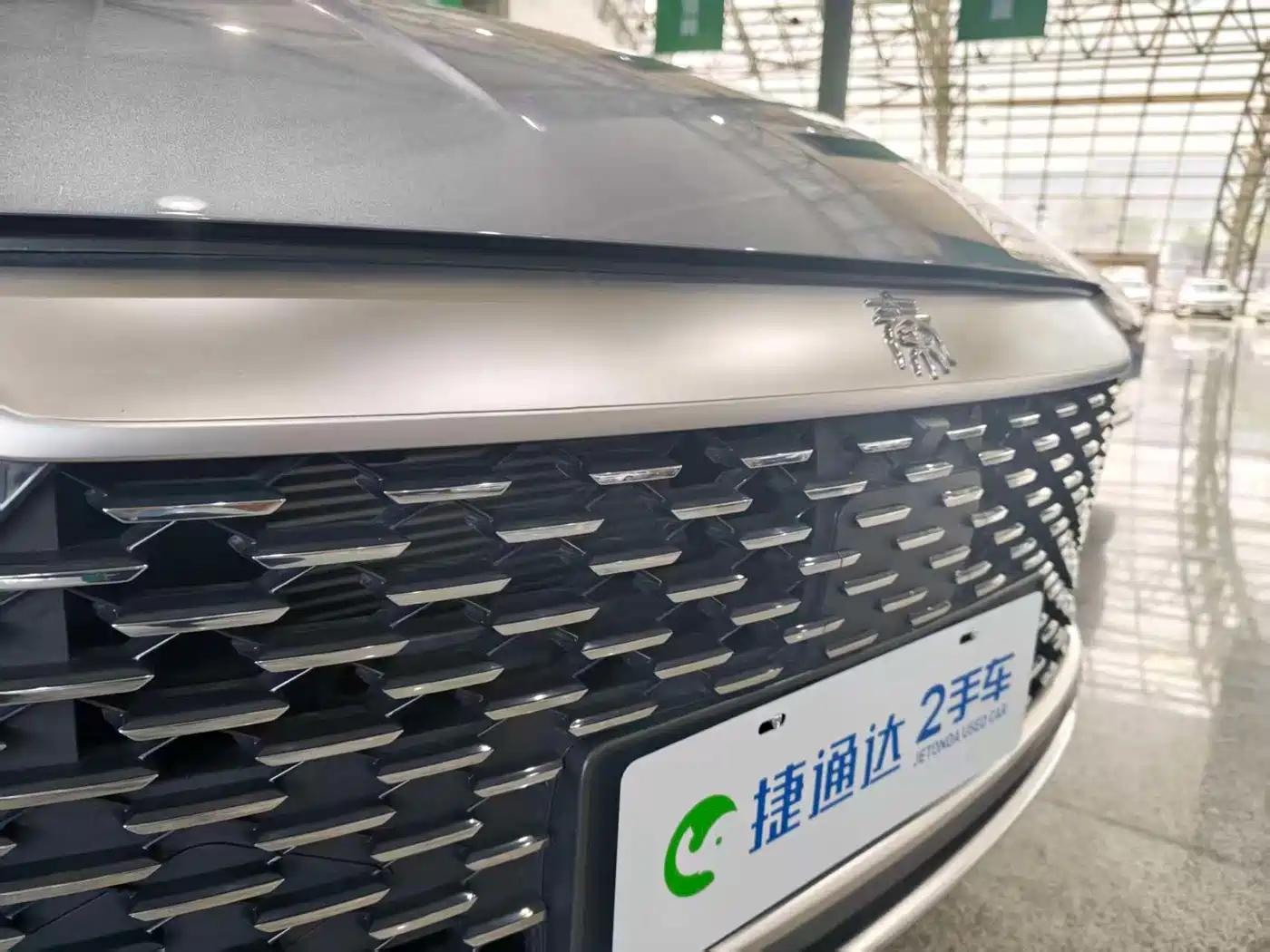 BYD Qin PLUS 2024 Glory Edition DM-i 55KM Leading фото 30