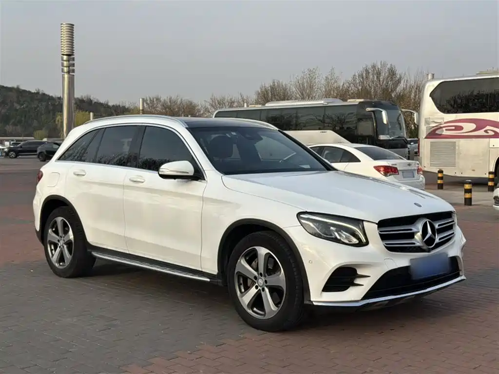 Mercedes-Benz GLC 2017 GLC 260 4MATIC Luxury фото 17