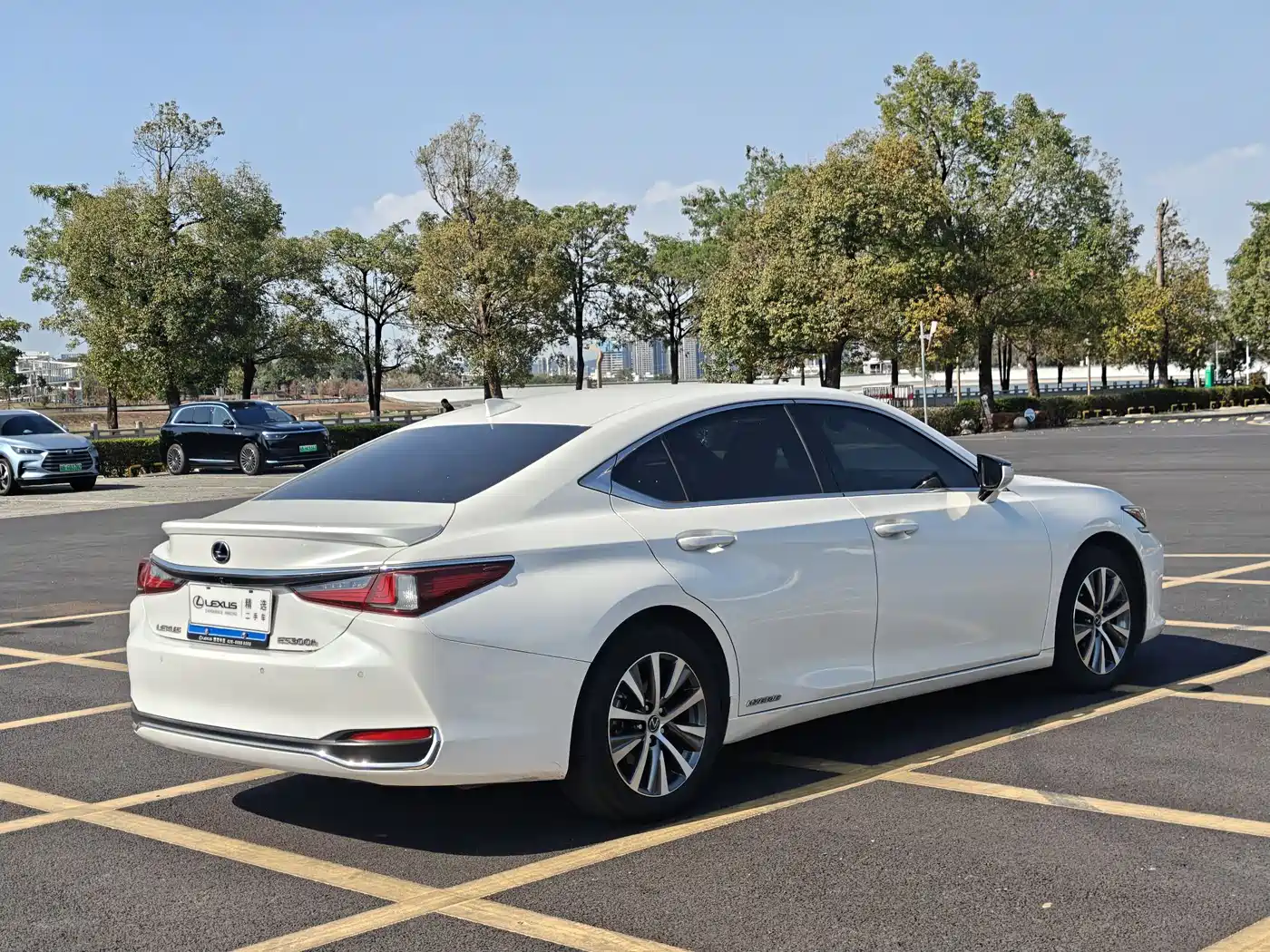 Lexus ES 2020 Model 300h Excellence Edition China V фото 9