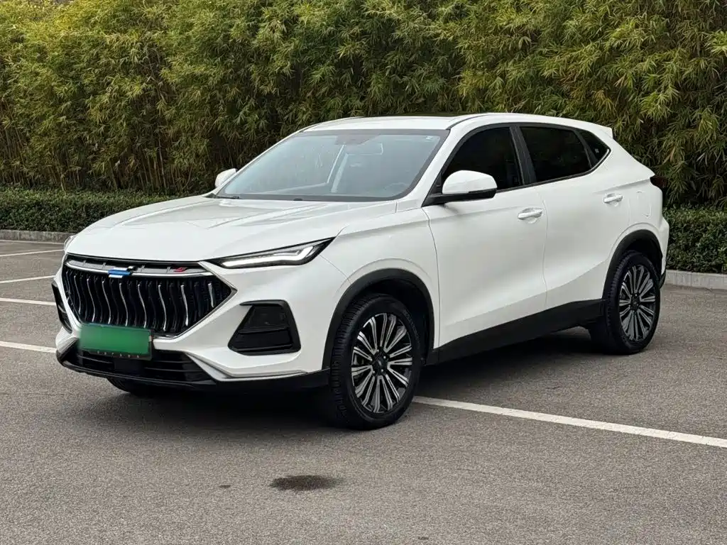 Changan Oshan Changan Oushang X5 2021 2021 1.5T DCT Luxury