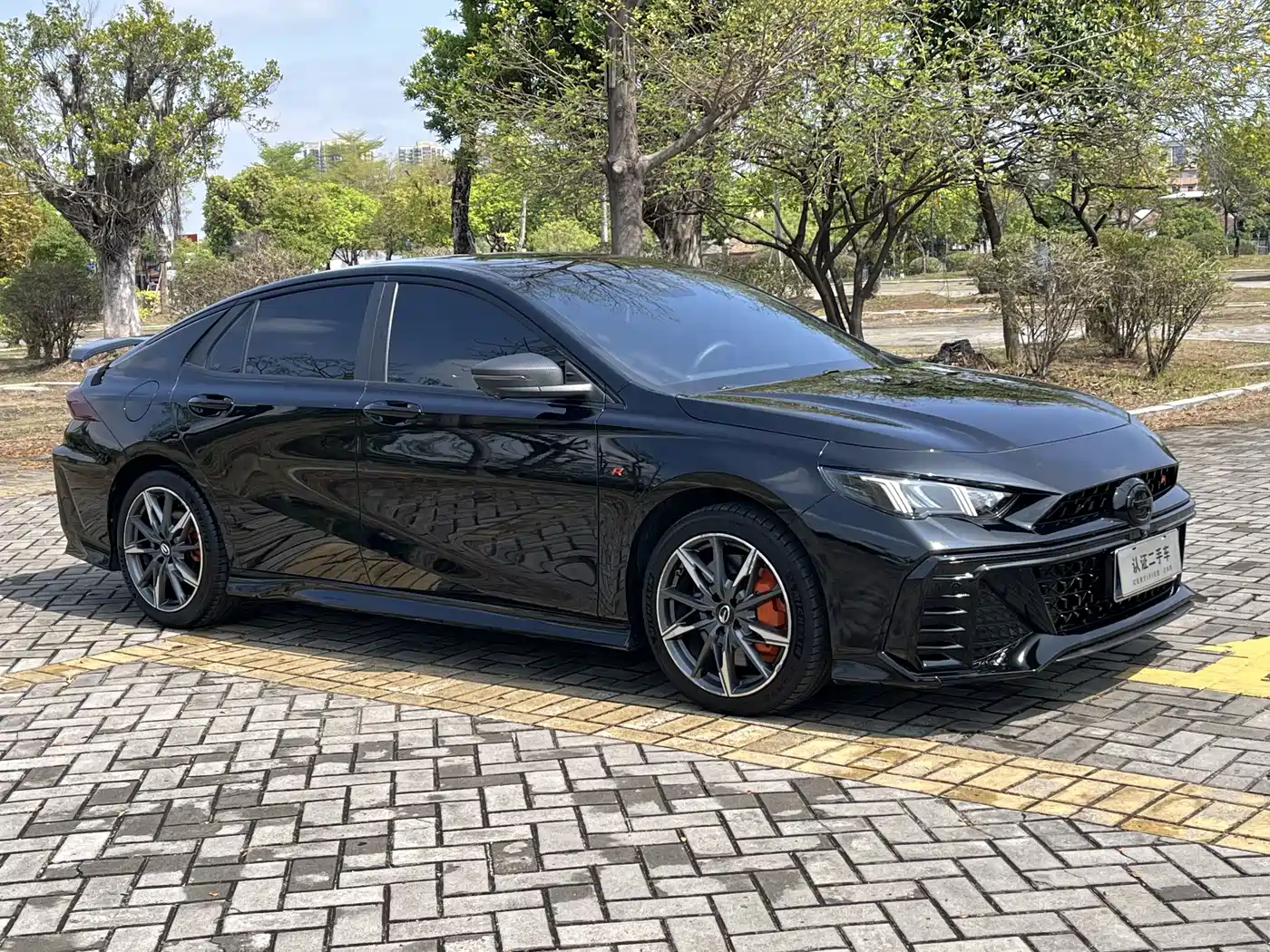 GAC TRUMPCHI SHADOW LEOPARD