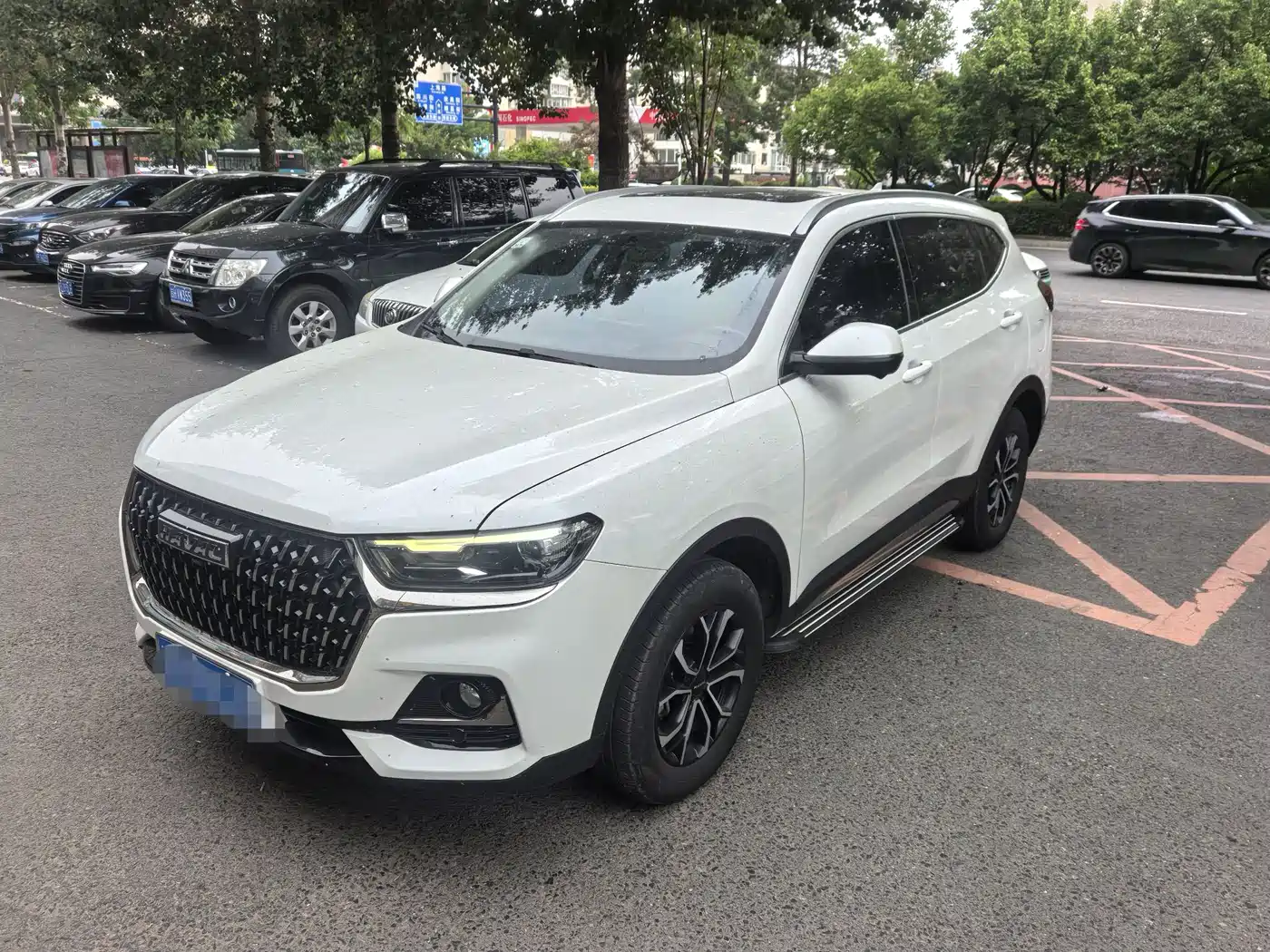 Haval H6 2023 National Trend Edition 1.5T Automatic Urban