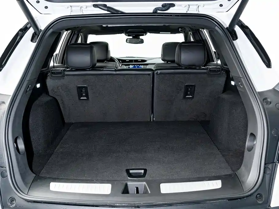 Cadillac XT5 2024 2024 2.0T AWD Luxury (Hummingbird Edition)