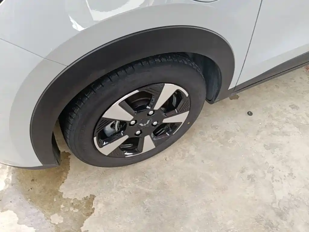 Фото 23 - Wuling Motors Wuling Binguo PLUS