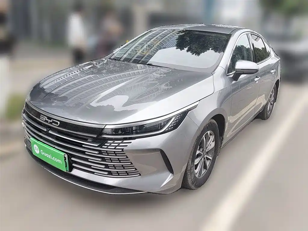 BYD Destroyer 05 2023 Champion Edition DM-i 55KM Luxury фото 2