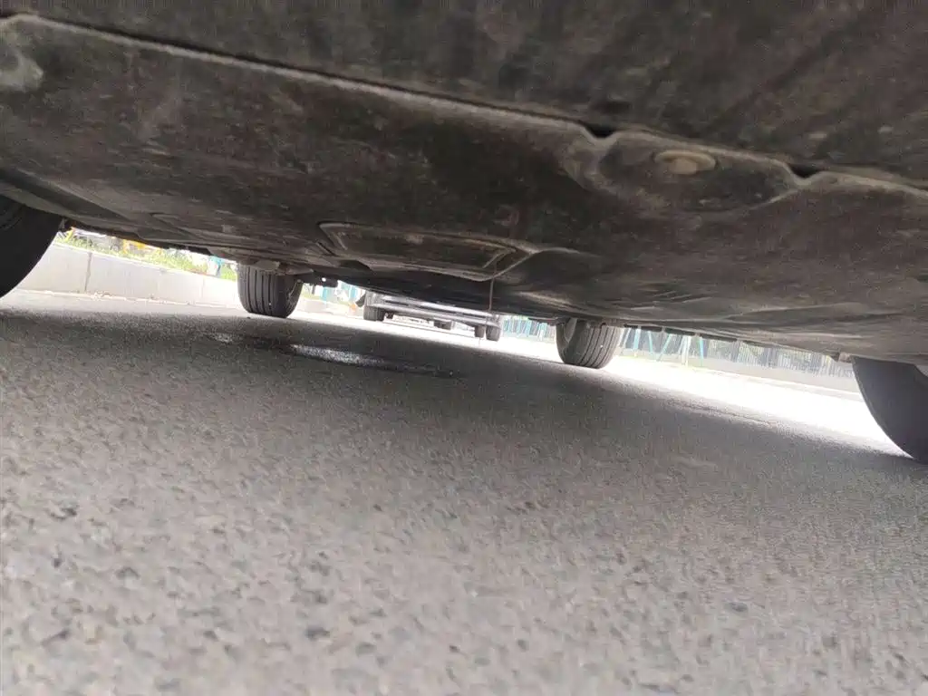 BYD Destroyer 05 2023 Champion Edition DM-i 55KM Luxury фото 25