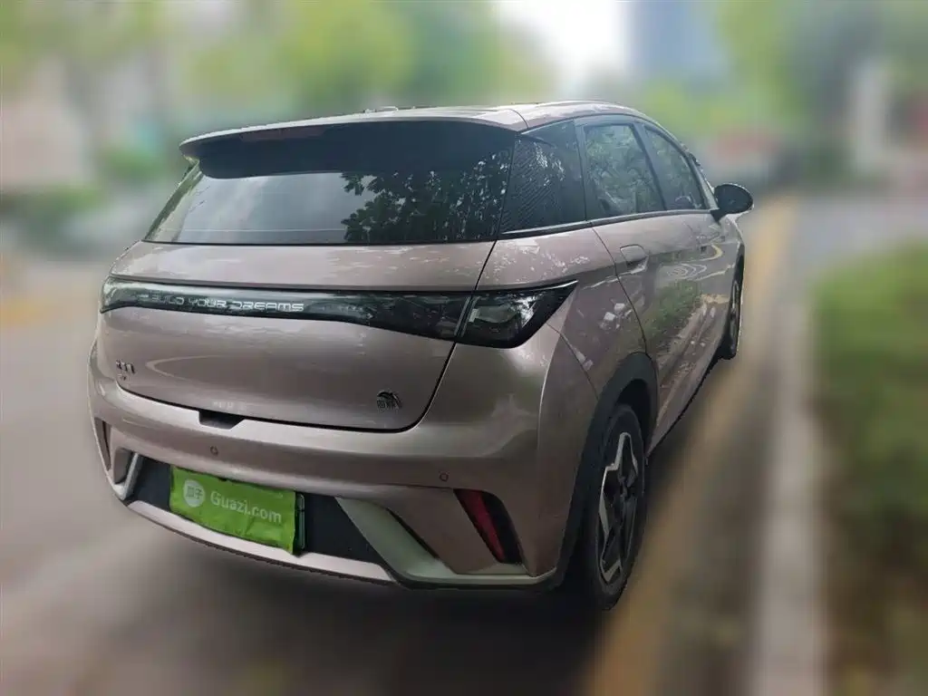 BYD Dolphin 2021 Model 405km Fashion Edition фото 4