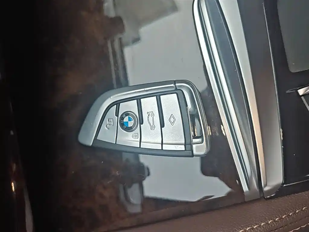 BMW 5 Series 2020 525Li Luxury Package фото 9