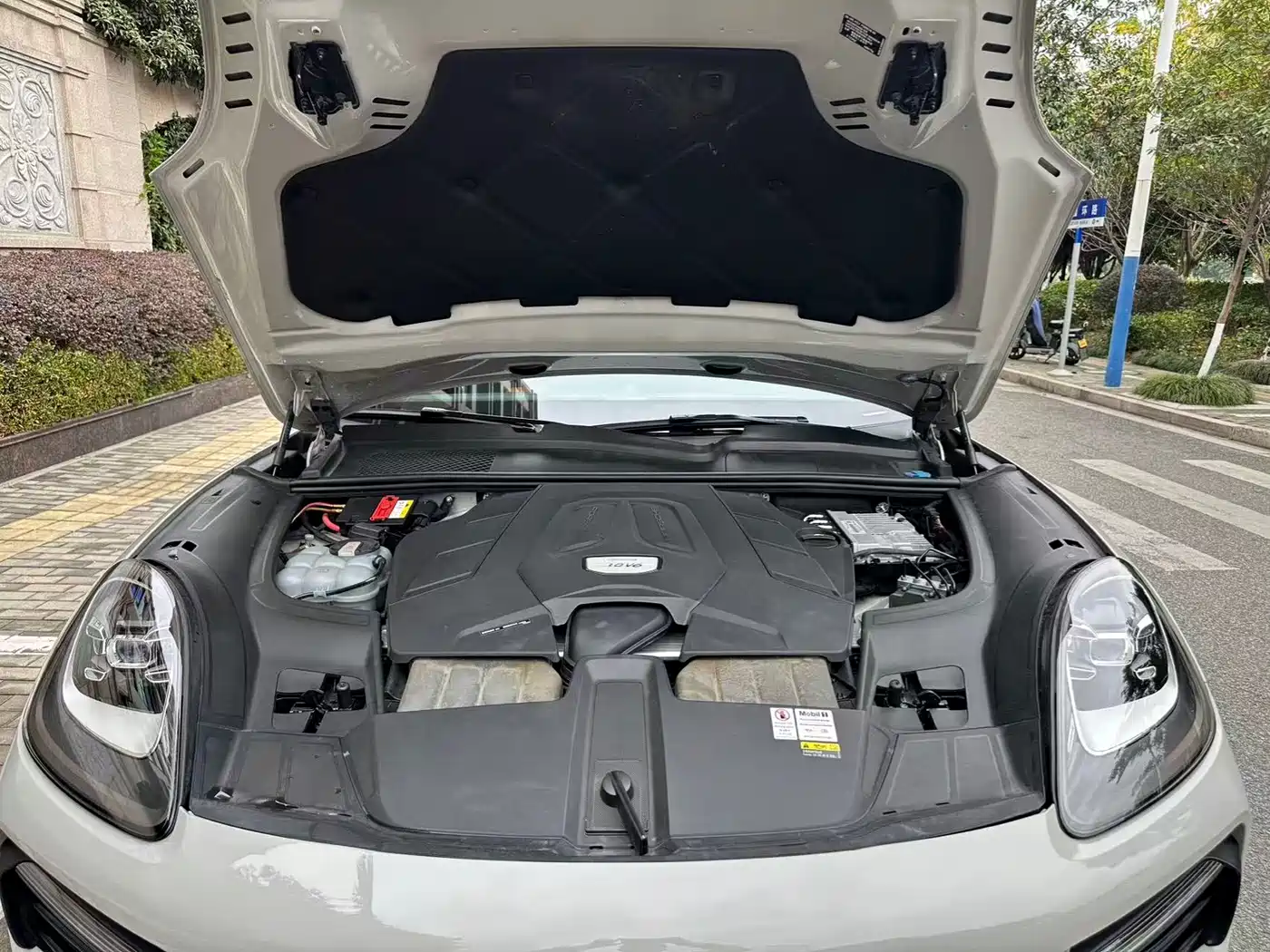 Porsche Cayenne 2022 Cayenne 3.0T Platinum Edition фото 14