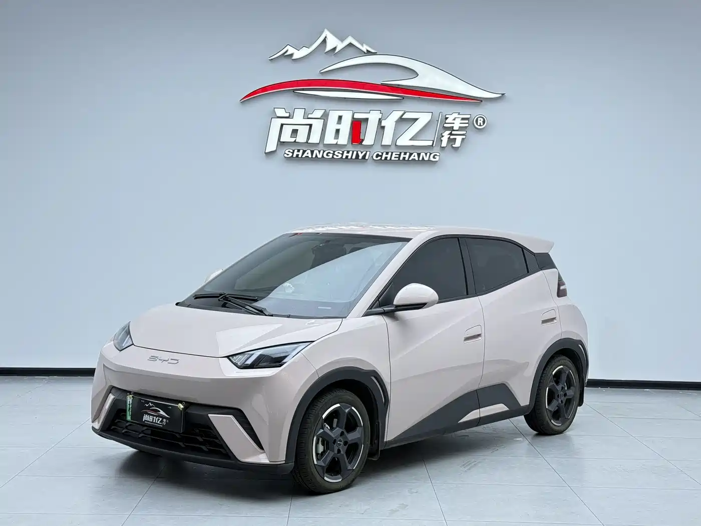 BYD Seagull 2023 Freedom Edition