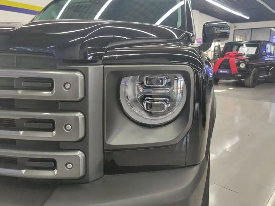 Haval Meng Long NEV 2025 2024 Hi4 102 Pro