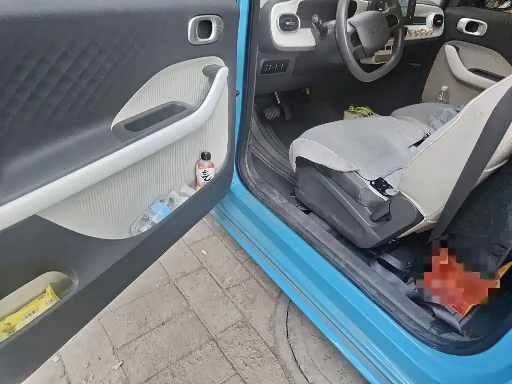 Ruilan Auto Ruilan Blue Elf 2025 2025 Base Model