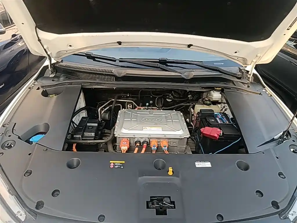 BYD Qin New Energy 2019 Long Range Luxury Edition фото 20