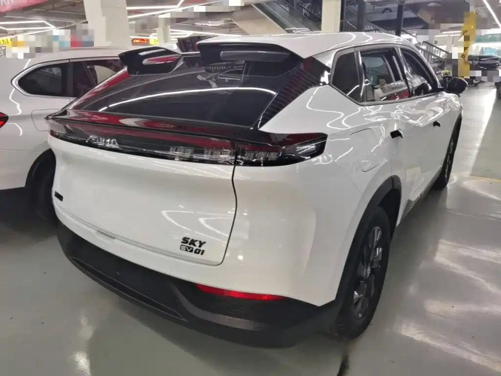 Dongfeng Aeolus SKY EV01 2024 2024 445km PRO