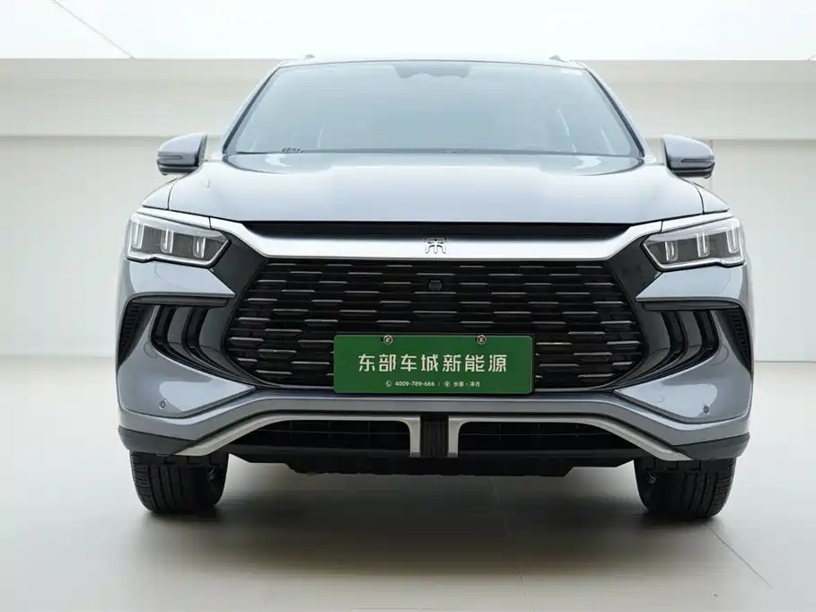 BYD SONGJIANG NEW ENERGY