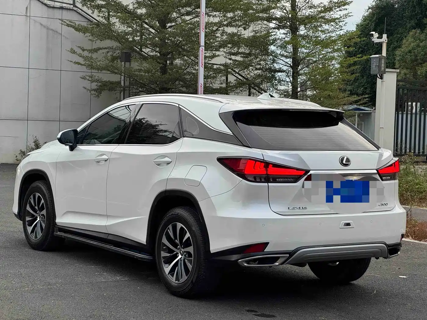 Lexus RX 2020 Facelift 300 2WD Elite Edition фото 9