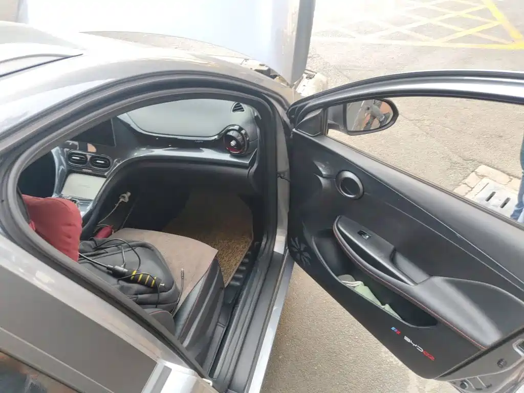 BYD e2 2024 2023 Luxury Model
