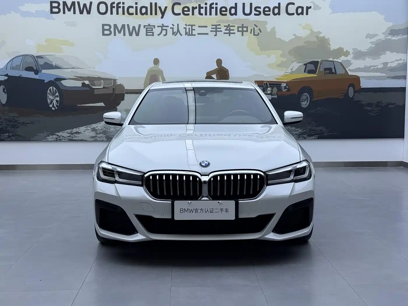 BMW 5 SERIES NEW ENERGY