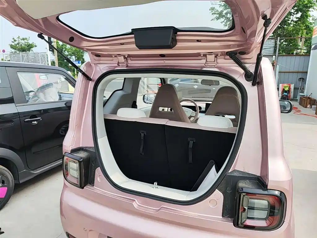 Geely Galaxy Panda 2025 Panda mini 210km Vitality Bear фото 19