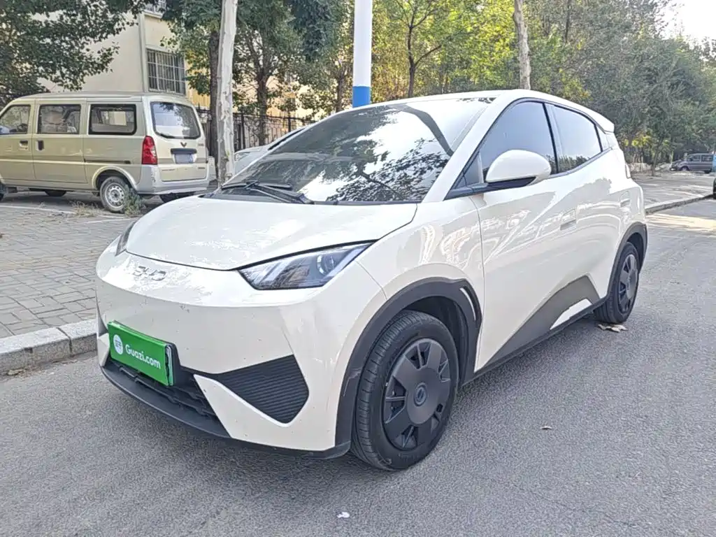 BYD Seagull 2025 Smart Drive Edition 305km Vitality Version
