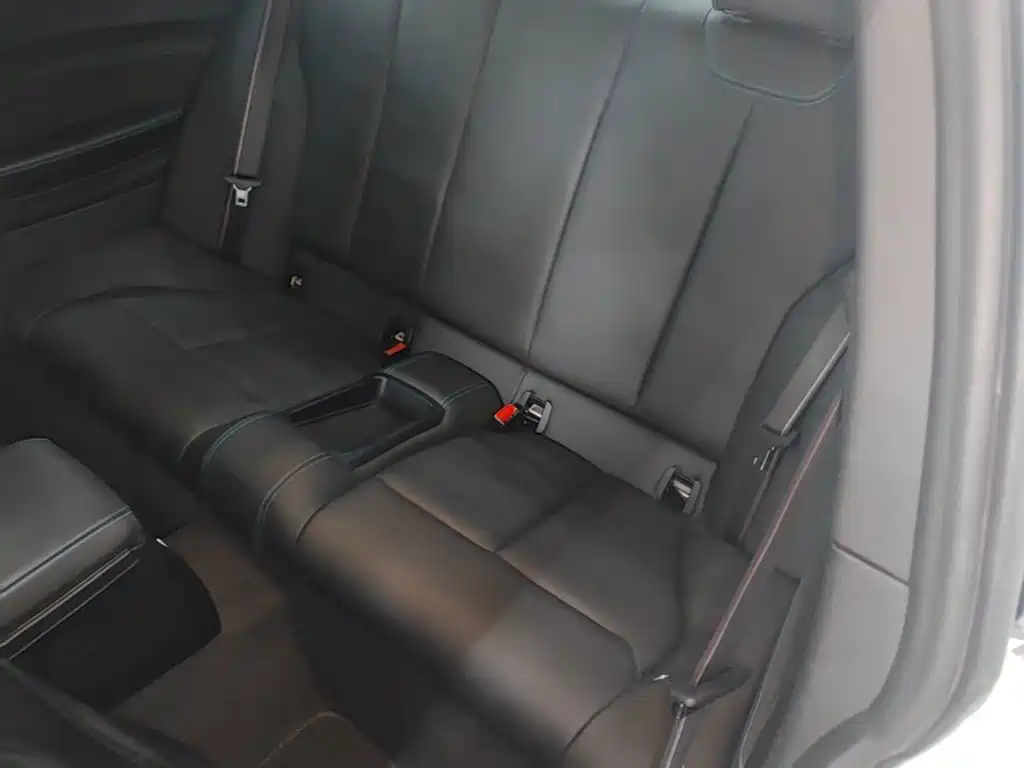 BMW M2 2019 2018 M2 Thunder Edition