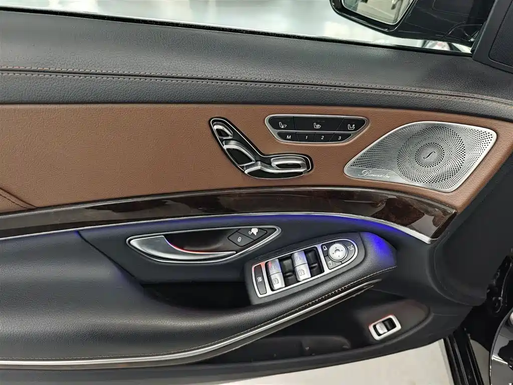 Mercedes-Benz S-Class 2020 S 350 L Premium Edition Collector's Version фото 15