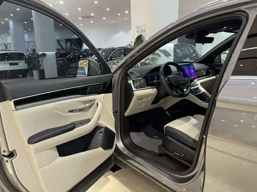 BYD Song PLUS PHEV 2024 Glory Edition DM-i 110km Flagship фото 19