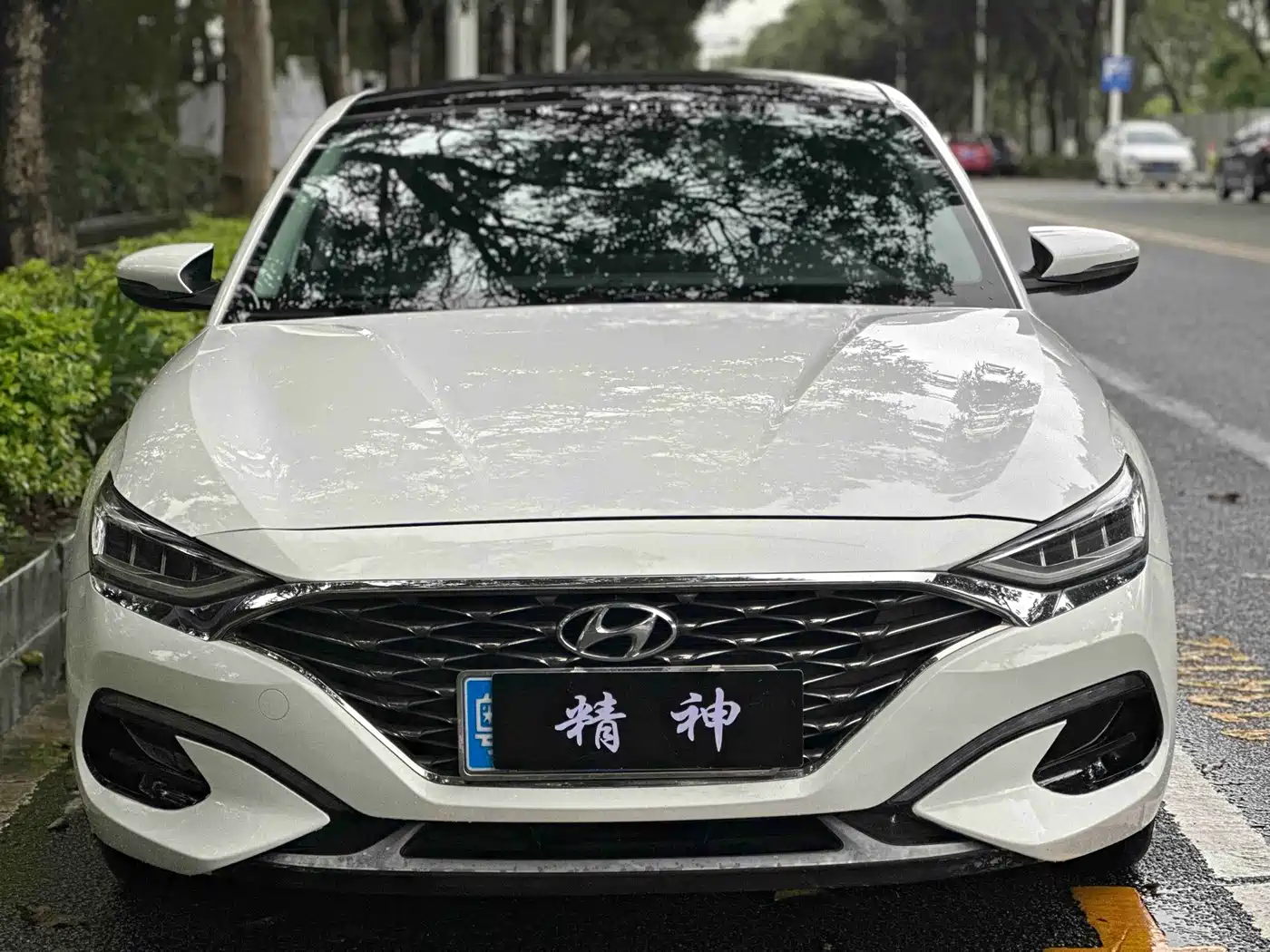 Hyundai Fista 2019 280TGDi Sport Edition China V фото 2