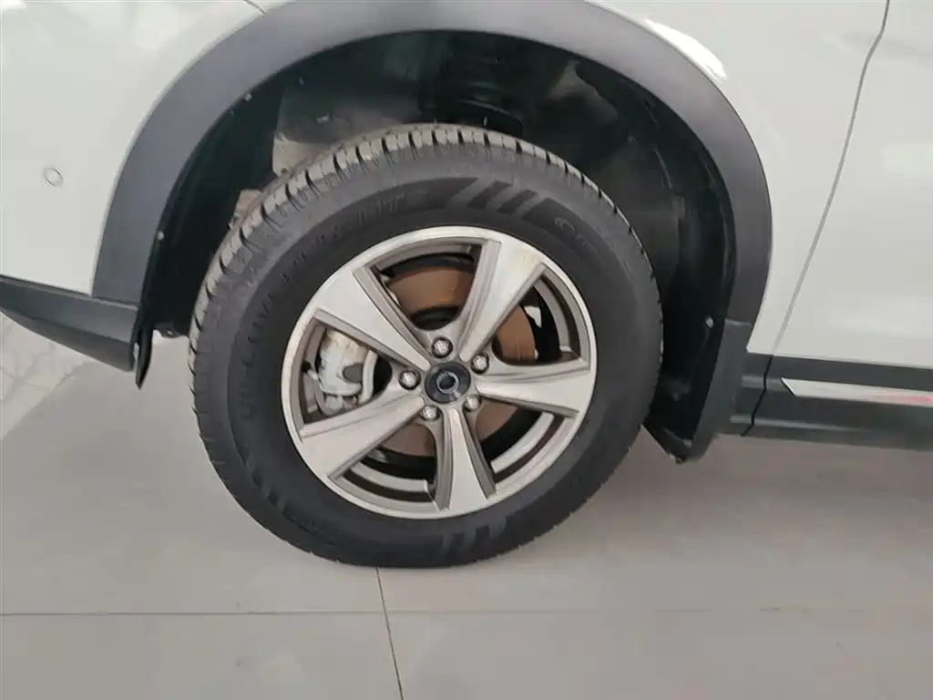 Haval H6 Coupe 2016 Blue Label 1.5T Automatic 2WD Elite фото 23