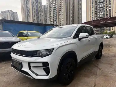 Geely Riddara RD6