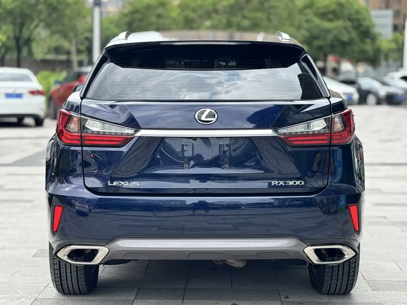 Lexus RX 2016 300 2WD Elite Edition (China V) фото 4
