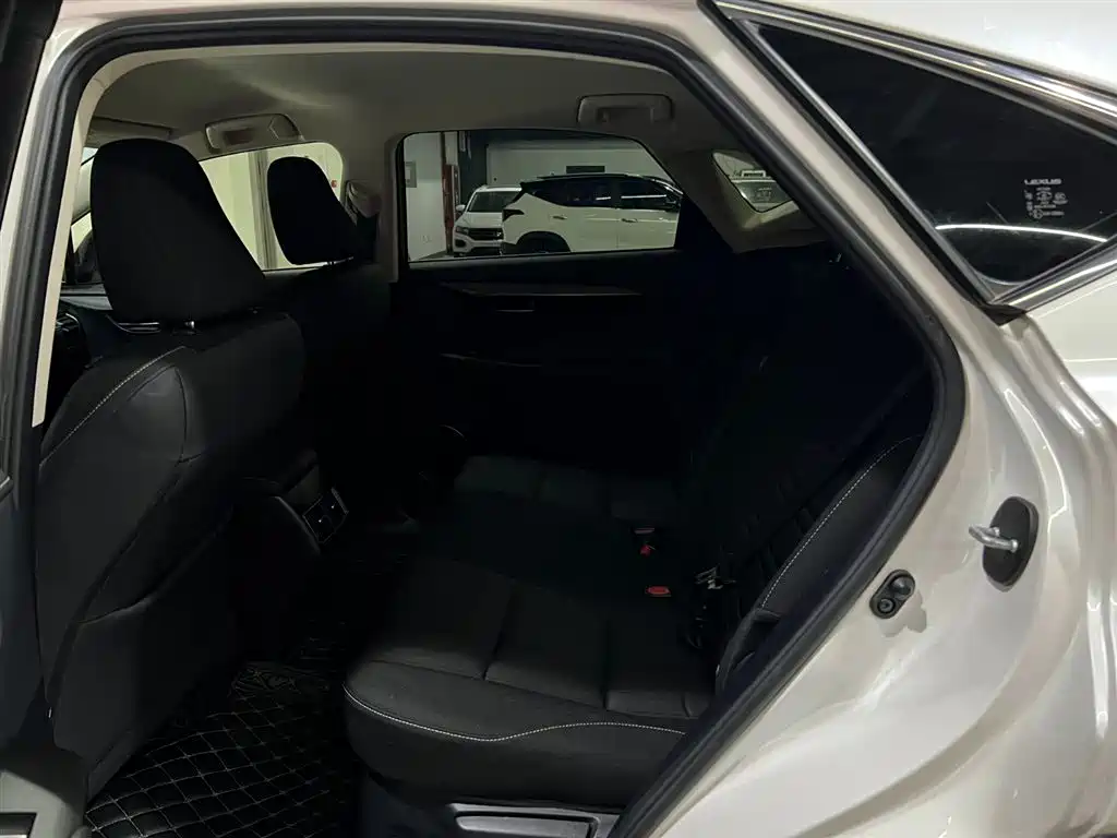 Lexus NX 2018 Model 200 FWD Fengxing Edition China V фото 11
