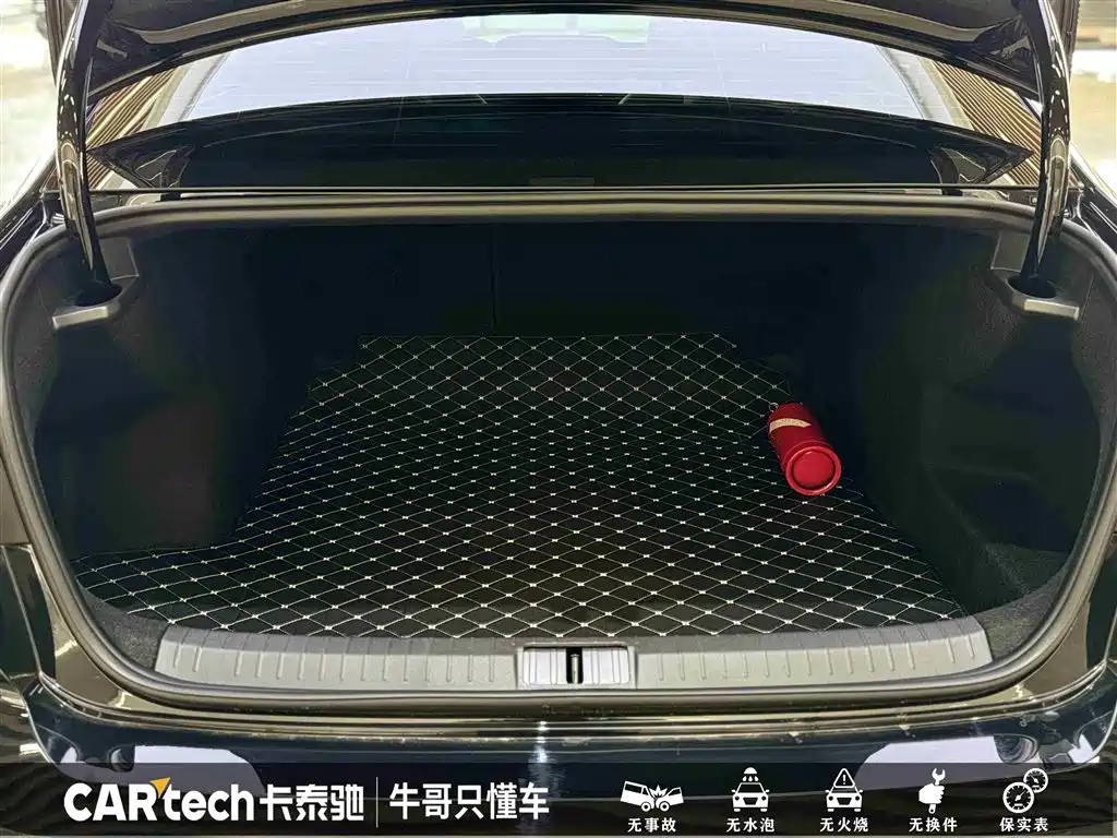 Volkswagen Magotan 2025 Facelift Public Edition 330TSI DSG Luxury фото 14