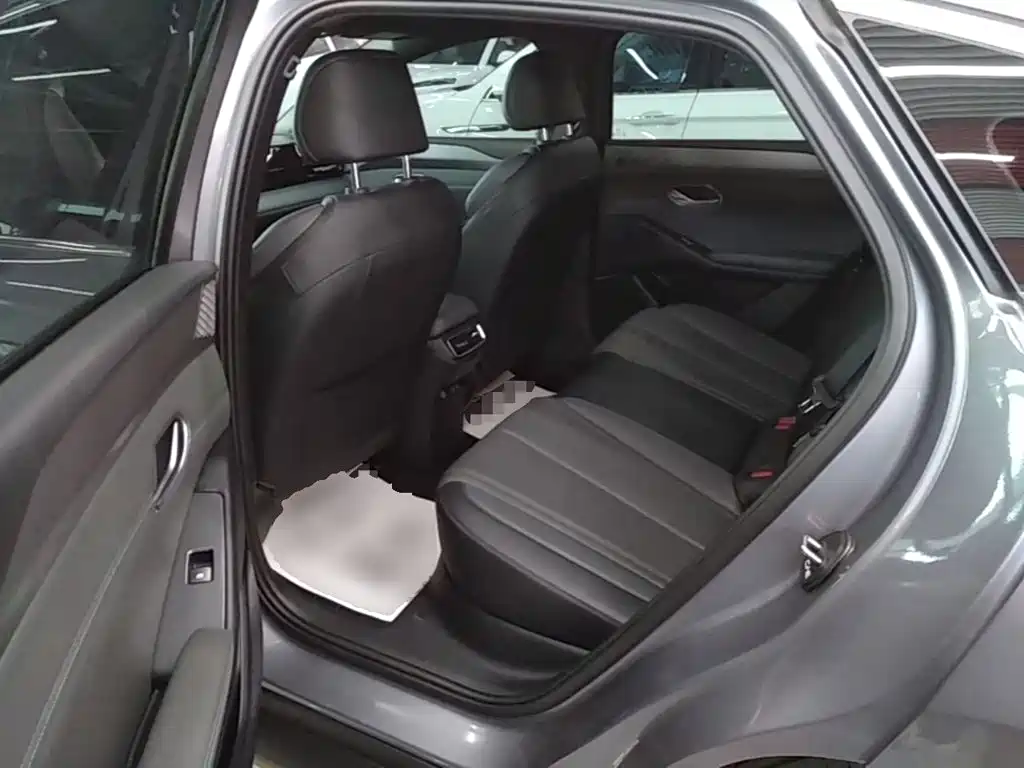 صورة 17 - BYD Qin L