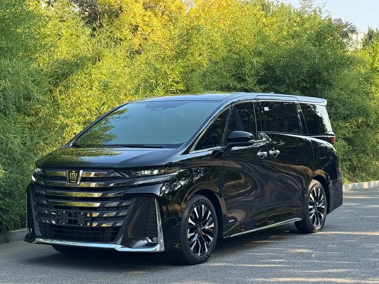 Фото 1 - Toyota Vellfire